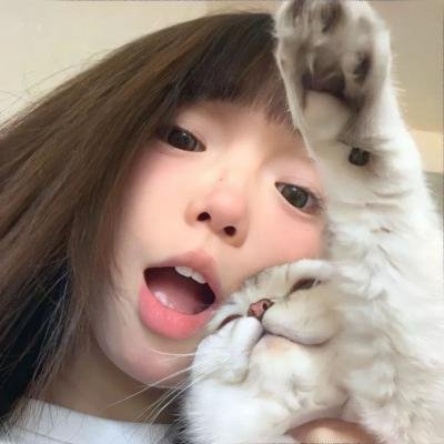 纸牌之国